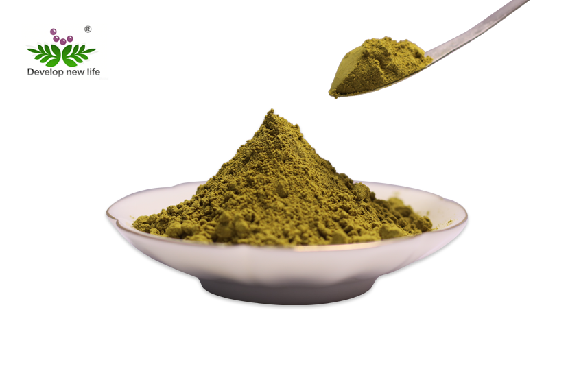 Olive Leaf Extract 20% Hydroxytyrosol